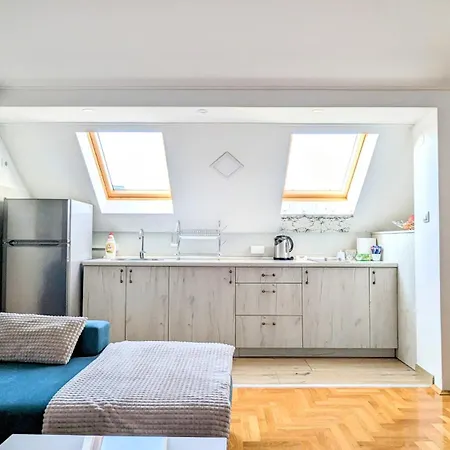 Spacious & Attractive 600m-7minuta Hoda Od Centra, Mogucnost Za Parking-apartmani-nsmilos * نوفي ساد